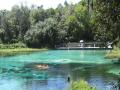 beautiful blue water scenery at Rainbow Springs