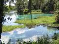 blue water and sky at Rainbow Springs