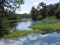 blue water and sky at Rainbow Springs