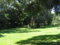 green vegetation at Rainbow Springs Park