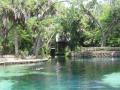 natural swimming pool