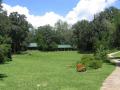 green picnic area at Rainbow Springs