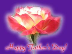 Happy Father's Day ecard - beautiful rose