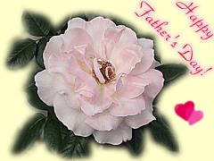 Father's Day pink rose card