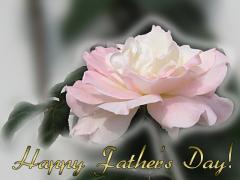 fathers day love card - angel rose