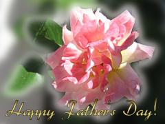 Pink Rose Father's Day ecard