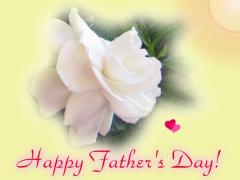 Father's Day white flower ecard