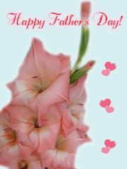 Fathers Day pink gladiolus lovecard