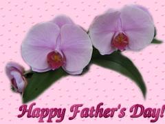 Father's Day pink orchid card