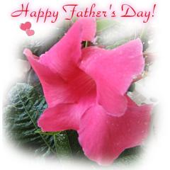 Father's Day ecard - beautiful flower