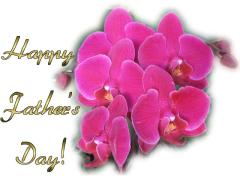 fathers day orchids love card