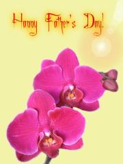 Father's Day ecard - hot pink orchids