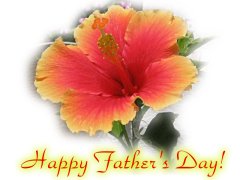 Happy  Father's Day card - beautiful hibiscus