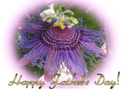 Father's Day love card - passiflora