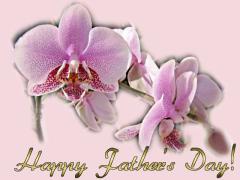 beautiful orchids Father's Day ecard