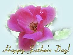 Father's Day love card - hot pink rose