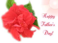 red hibiscus fathers day ecard