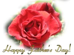 Father's Day ecard red rose