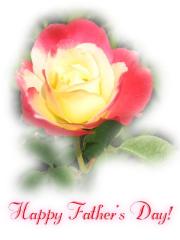 Father's Day yellow-red rose card