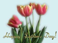 Happy Father's Day - tulips