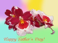 Father's Day red orchid card