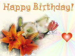 Birthday Greeting Card