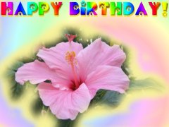 Birthday Greeting Card