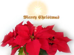 Christmas greeting cards