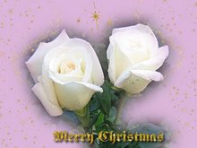 Merry Christmas greeting cards