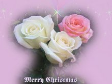 Merry Christmas greeting cards