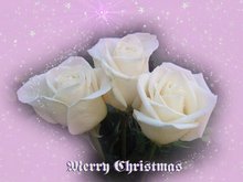 Merry Christmas greeting cards