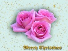 Merry Christmas greeting cards