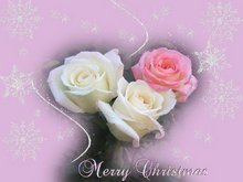 Merry Christmas greeting cards