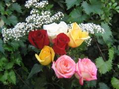 Bouquet de rosas coloridas