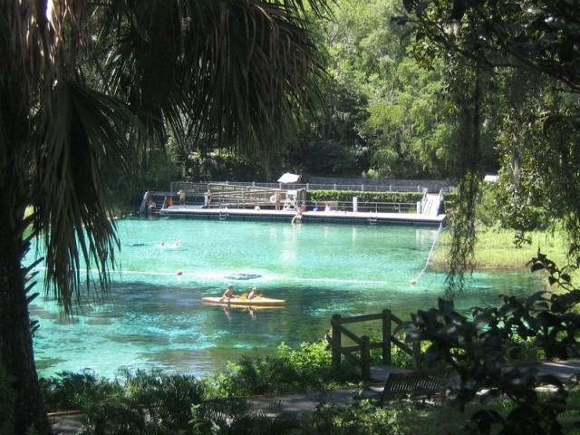 rainbow springs