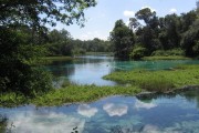 rainbow river in florida