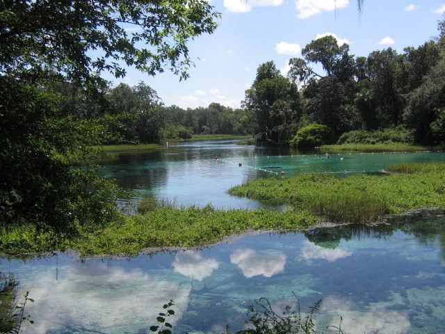 rainbow river in florida