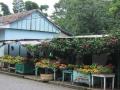 Catarina - small produce market