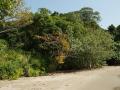 Beach scenery Cambodia