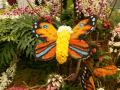 Butterfly made of blooming flowers