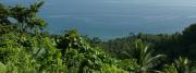 Ocean view with island vegetation