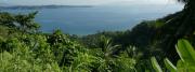 Ocean view with island vegetation