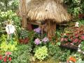 1st place Garden exhibit - Category Coirdillera