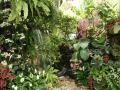 1st place Garden exhibit - Category Coirdillera