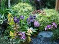 Jardines bellos con Orquideas