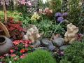 Jardin fleurs tropicales