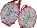 white dragon fruit cut open