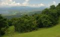 Golf course wallpaper - tropical golf scenery club Ponderosa, Puerto Galera