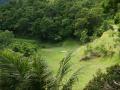 Tropical golf scenery