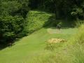 Tropical golf scenery